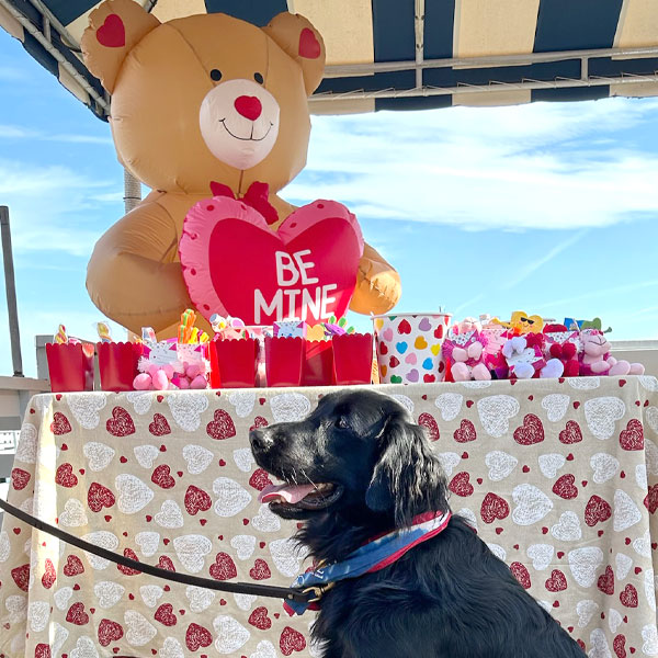 Jake at the Valentine's Day Heart Hunt