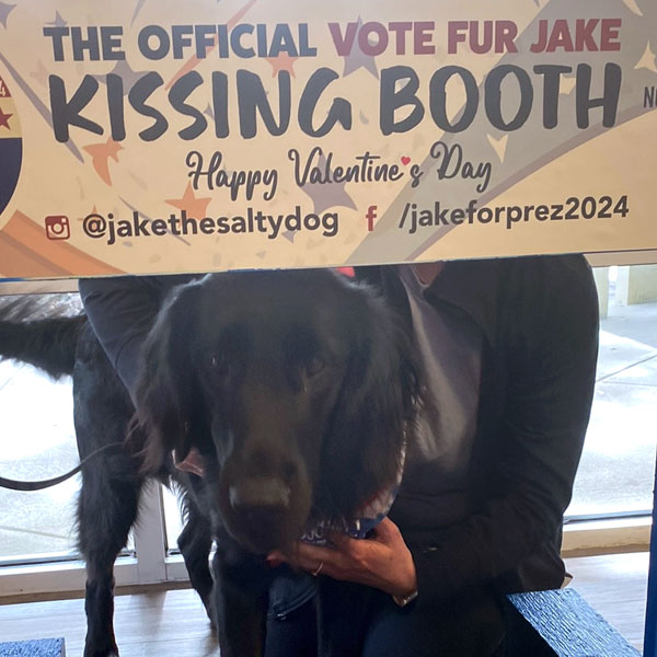 Jake at the Valentine's Day Heart Hunt